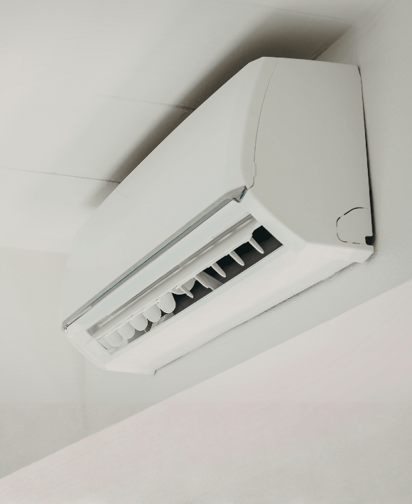 Untitled design - 2026-04-29T204312.088 (1)