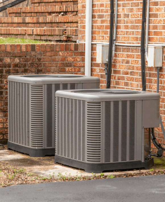 Untitled design - 2026-04-29T204445.928 (1)